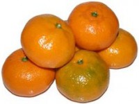 Mandarina lb